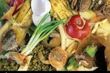 Organic Waste